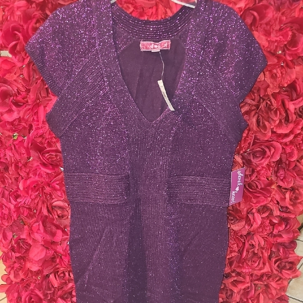 Derek Heart NWT Women's Purple Glitter Knit Dress Size Large
